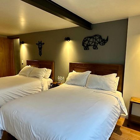 Casa Raffaello Hotel Mexico City Ngoại thất bức ảnh