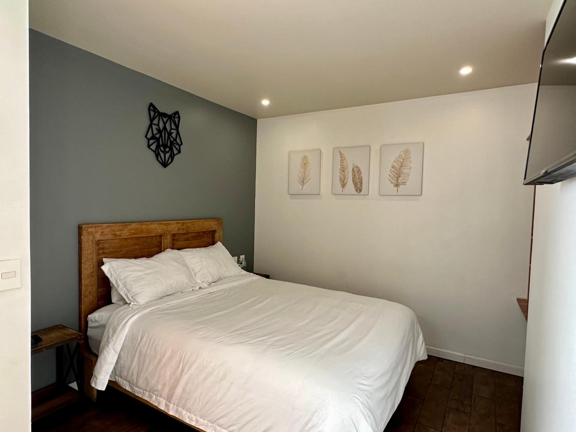 Casa Raffaello Hotel Mexico City Ngoại thất bức ảnh