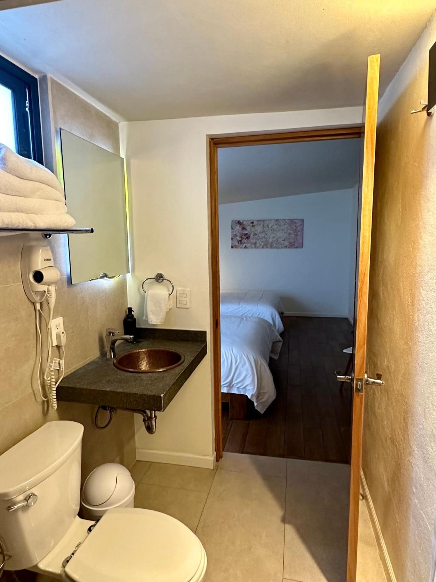 Casa Raffaello Hotel Mexico City Ngoại thất bức ảnh