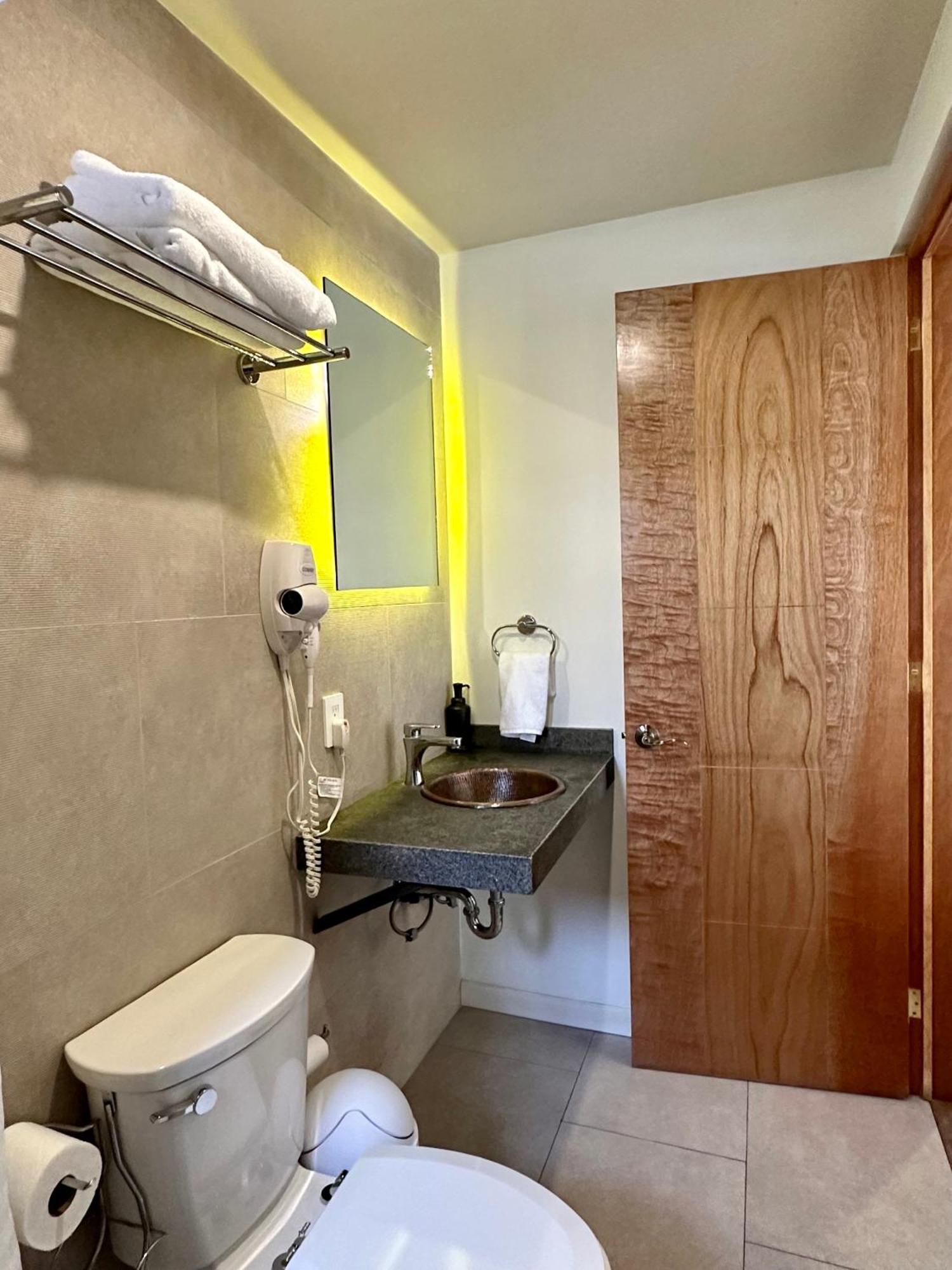 Casa Raffaello Hotel Mexico City Ngoại thất bức ảnh