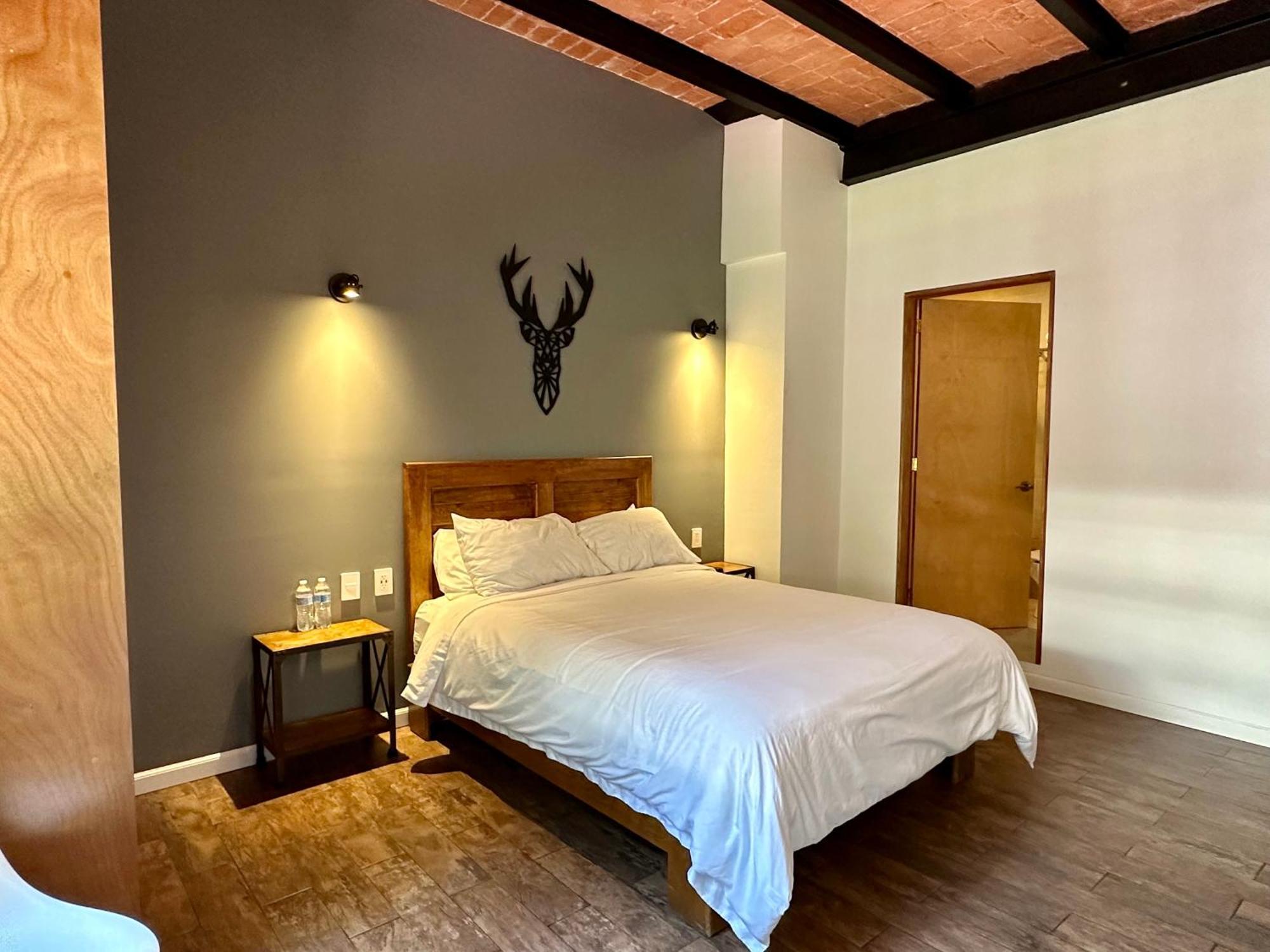 Casa Raffaello Hotel Mexico City Ngoại thất bức ảnh
