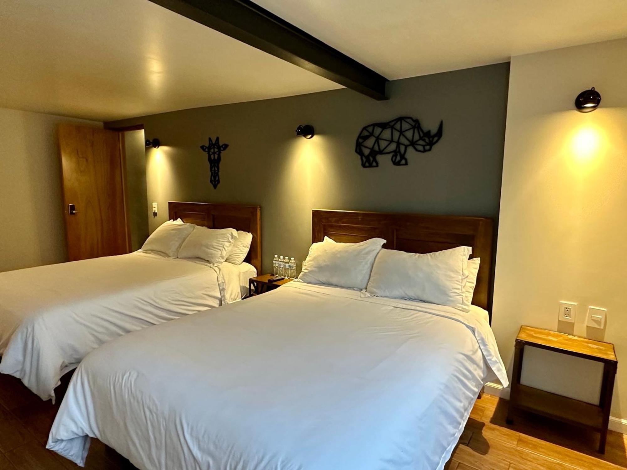 Casa Raffaello Hotel Mexico City Ngoại thất bức ảnh